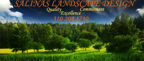 Designed by Mark Nabil www.rankingme.net